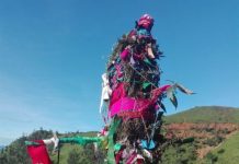 सुदूरपश्चिममा ओल्के पर्व मनाइँदै