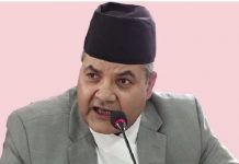 मन्त्रीपरिषद्का बीस निर्णय सार्वजनिक