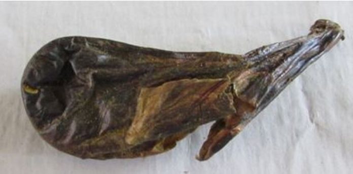 vaalu-pittta