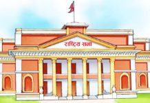 नेताहरुलाई सार्वजनिक रुपमा गाली गलौच गर्नेलाइ कारवाही हुने