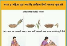 यसरी घरमै बनाउनुहोस् आफ्ना बालबालिकाका लागि पौष्टिक ‘लिटो’