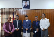 नेवार सांसदहरुद्वारा भाइटीकाको भोलिपल्ट पनि सार्वजनिक बिदा दिन माग