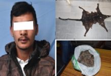 ध्वाँसे चितुवाको छाला र सालकको खपेटा बिक्री वितरण गर्ने पक्राउ