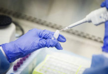 इन्फ्ल्युएन्जा विरुद्धको औषधि कोराना उपचारमा