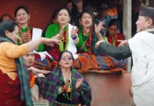 मौलिक लोकभाका ‘चरी बस्यो’ भिडियाे सार्वजनिक