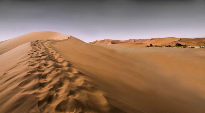 desert2