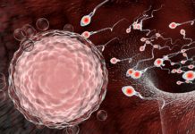 यौन सम्पर्कबाट समेत काेराेना भाइरस सर्न सक्ने