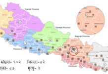 नेपालभर ४२ जिल्लामा कोरोना संक्रमित कुन जिल्लामा कति यस्ताे छ