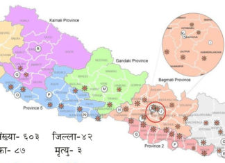 नेपालभर ४२ जिल्लामा कोरोना संक्रमित कुन जिल्लामा कति यस्ताे छ