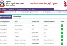 कृषि मन्त्रालयले सञ्चालनमा ल्यायो डिजिटल कृषि बजार