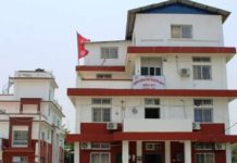 योजना मन्त्रालयका कर्मचारीलाई घुस दिन खोज्दा अख्तियारको फन्दामा