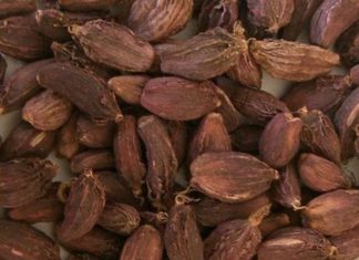 चिया र पाम तेलपछि अलैँची निर्यातमा भारतीय अवरोध