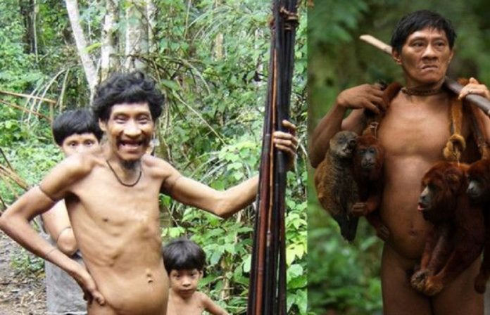 amazone-forest-1485002061_835x547