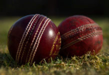 राष्ट्रिय क्रिकेट टोलीका पूर्वकप्तान पारस खड्का युएईतर्फ प्रस्थान