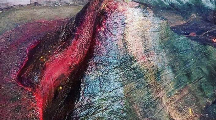 Untitled-1rt4ertewt-800x445
