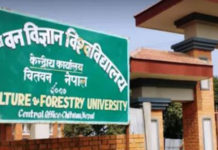 महामारीले अधिकांश लथालिंग विश्वविद्यालय
