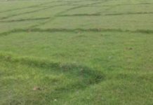 अबदेखि डिजिटल प्रविधिबाट जग्गाको नापजाँच हुने