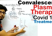 काेभिड १९ संक्रमित सिकिस्त बिरामीलाई ‘प्लाज्मा थेरापी’