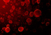 एकमहिने रक्तदान कार्यक्रमबाट ३५० पिन्ट रगत सङ्कलन