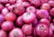 भारतबाट प्याजको निर्यात नभएपछि प्याजकाे मूल्य बढ्यो