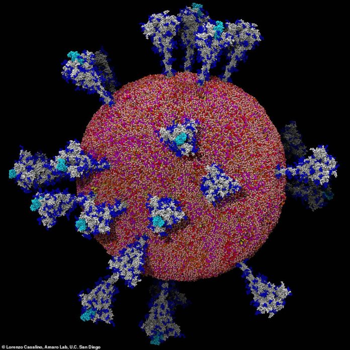 coronavirus_z9hSYYh98s