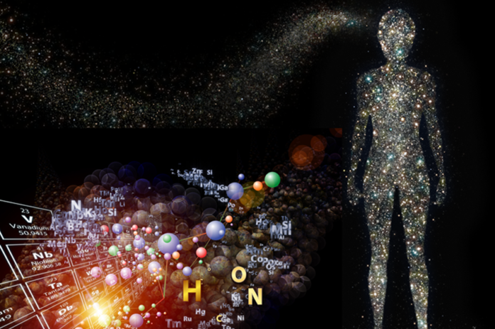 human-body-chemicals