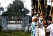 सञ्चालक गिरफतार गरिएपछि पाउन थाले किसानले उखुको भुक्तानी