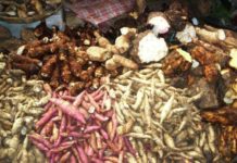 कालीमाटी फलफूल तथा तरकारी बजारमा १६ हजार टन कन्दमूल भित्रियाे