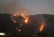 विभिन्न वनक्षेत्रमा आठ सय हेक्टर क्षेत्रफल ध्वस्त