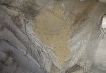 सर्वसाधारण भोकै, सरकारको खाद्यान्न नष्ट