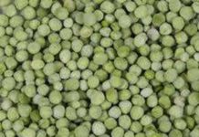 सुपारी, छोकडा र मरीचसंगै केराउ पनि आयात गर्नु पर्ने अवस्थामा नेपाल