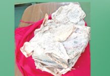 नखुलेका इतिहासका सयौँ पाना पहुँचवालाले मात्रै हेर्न पाउँछन्