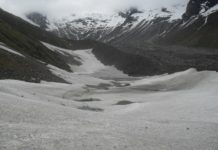 अपिहिमालमा एक यार्सागुम्बा सङ्कलक बेपत्ता