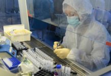 महानगरपालिकाले बढी भिडभाड हुने स्थानमा परीक्षणलाई तीव्र