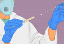 सांसदहरूको दुई दिन कोरोना परीक्षण हुने