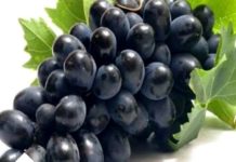 कालो अंगुरको फाइदा यी हुन्