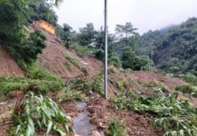 ओखलढुङ्गामा पहिरा जादा सात चौपाय पुरिएर