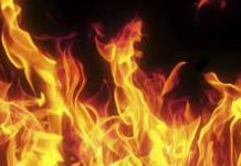 बियर प्लान्टमा आगलागी