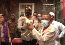 कोरोनाविरुद्धको खोप लगाउनेलाई जिउँदो कुखुरा