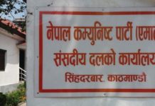 दश बुँदे सहमतिकै आधारमा अघि बढ्ने विषयमा छलफल