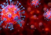 महामारीमा कलेजस्तरका विद्यार्थीले बढी तनाव एक अनुसन्धान