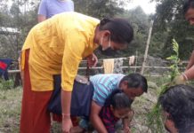 गौसेवामा सांसद