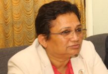 अर्बौं रुपैयाँको बिजुली निर्यात गरेर विदेशी मुद्रा आर्जन गर्न सकिने वातावरण नेपालमा बन्दै