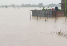 नवलपरासीमा बाढीले बगाउँदा दुईको मृत्यु, एक अझै बेपत्ता