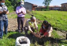 ग्लोबल बैंक र त्रिविको सहकार्यमा वृक्षारोपण सम्पन्न