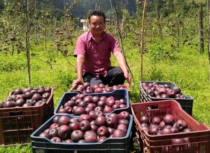 manang-apple