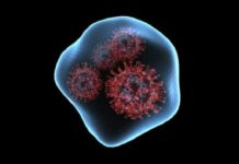 साउदी अरबमा पनि ओमिक्रोन