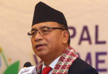 शहीदको सपना साकार पार्न सबै एक भएर लाग्नुपर्नेमा उपराष्ट्रपतिकाे जाेड