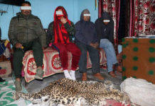 दाङ्गमा बाघको छालासहित चार पक्राउ