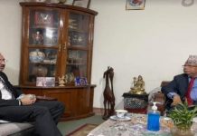 एसका अध्यक्ष नेपाल र मित्रराष्ट्र पाकिस्तानका राजदूत साइद हाइदर शाहबीच भेटवार्ता